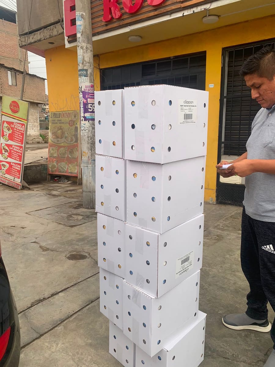 Cajas cerradas de paños Coppon Baby entregadas al cliente